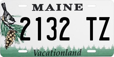 ME license plate 2132TZ