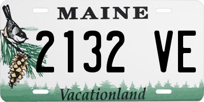 ME license plate 2132VE