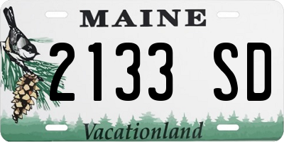 ME license plate 2133SD