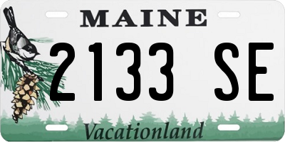 ME license plate 2133SE