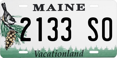 ME license plate 2133SO
