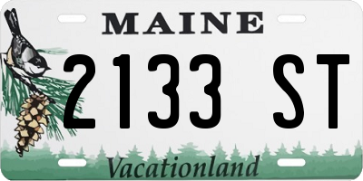 ME license plate 2133ST