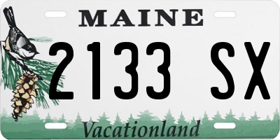 ME license plate 2133SX
