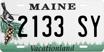 ME license plate 2133SY
