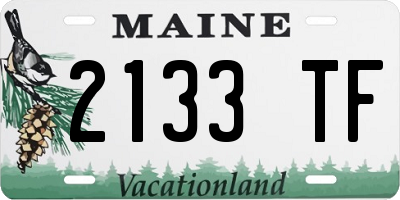 ME license plate 2133TF