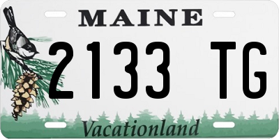 ME license plate 2133TG