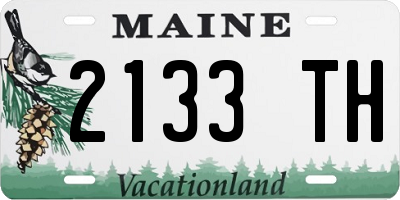 ME license plate 2133TH