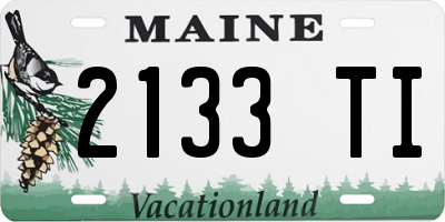 ME license plate 2133TI
