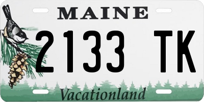 ME license plate 2133TK