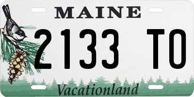 ME license plate 2133TO