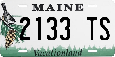 ME license plate 2133TS