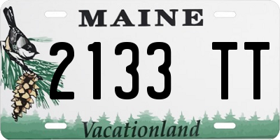 ME license plate 2133TT