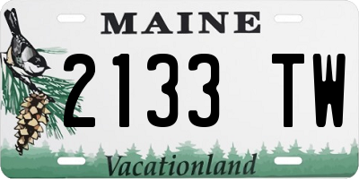 ME license plate 2133TW