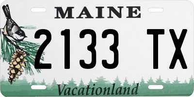 ME license plate 2133TX