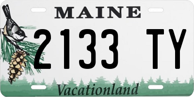 ME license plate 2133TY