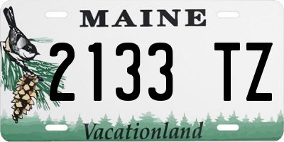 ME license plate 2133TZ