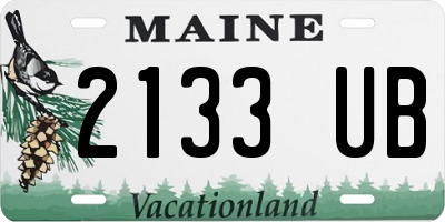 ME license plate 2133UB