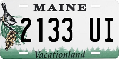 ME license plate 2133UI