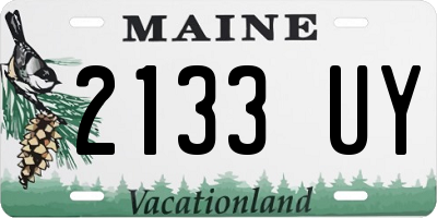 ME license plate 2133UY