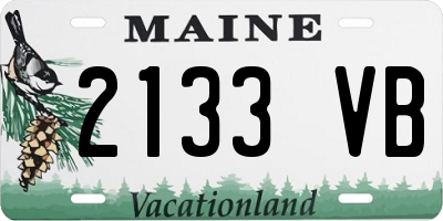 ME license plate 2133VB