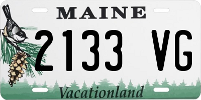 ME license plate 2133VG