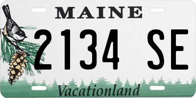ME license plate 2134SE