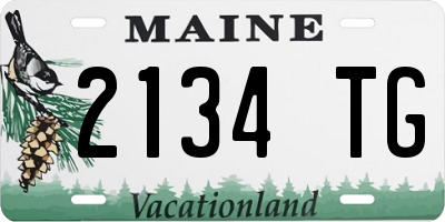 ME license plate 2134TG