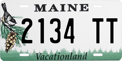 ME license plate 2134TT