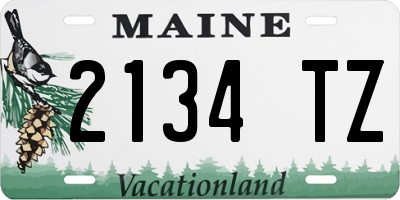 ME license plate 2134TZ