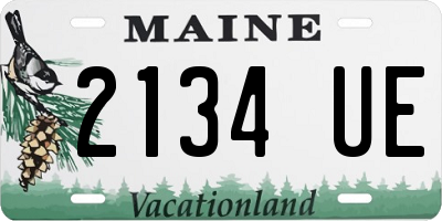 ME license plate 2134UE