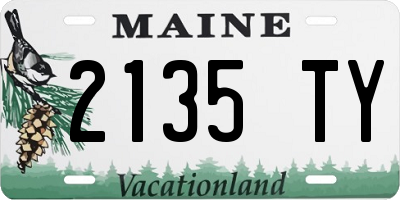 ME license plate 2135TY