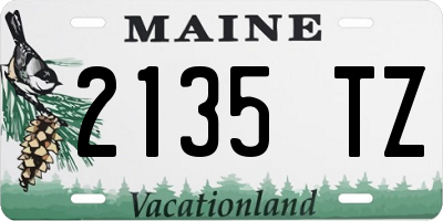 ME license plate 2135TZ