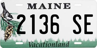 ME license plate 2136SE
