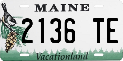 ME license plate 2136TE