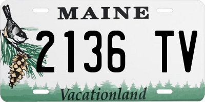 ME license plate 2136TV