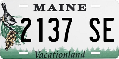 ME license plate 2137SE