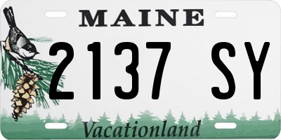 ME license plate 2137SY