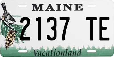 ME license plate 2137TE