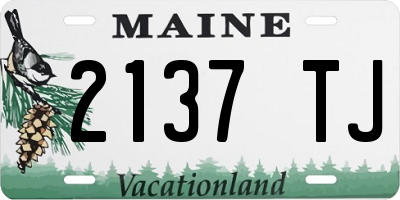 ME license plate 2137TJ