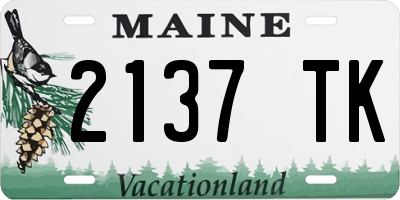 ME license plate 2137TK