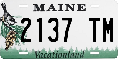 ME license plate 2137TM