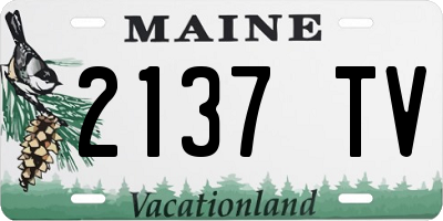 ME license plate 2137TV