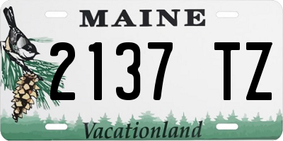 ME license plate 2137TZ