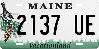 ME license plate 2137UE