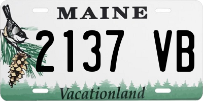 ME license plate 2137VB