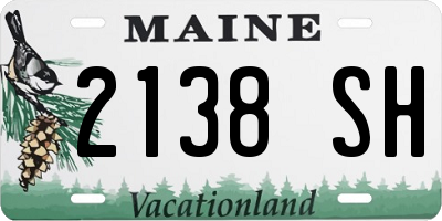 ME license plate 2138SH