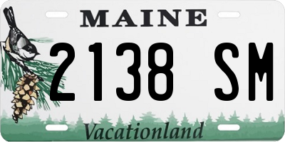 ME license plate 2138SM