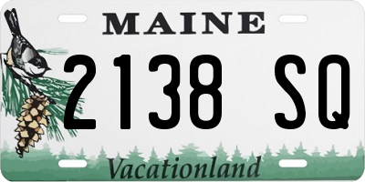 ME license plate 2138SQ