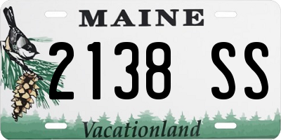 ME license plate 2138SS