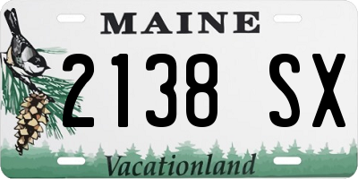 ME license plate 2138SX